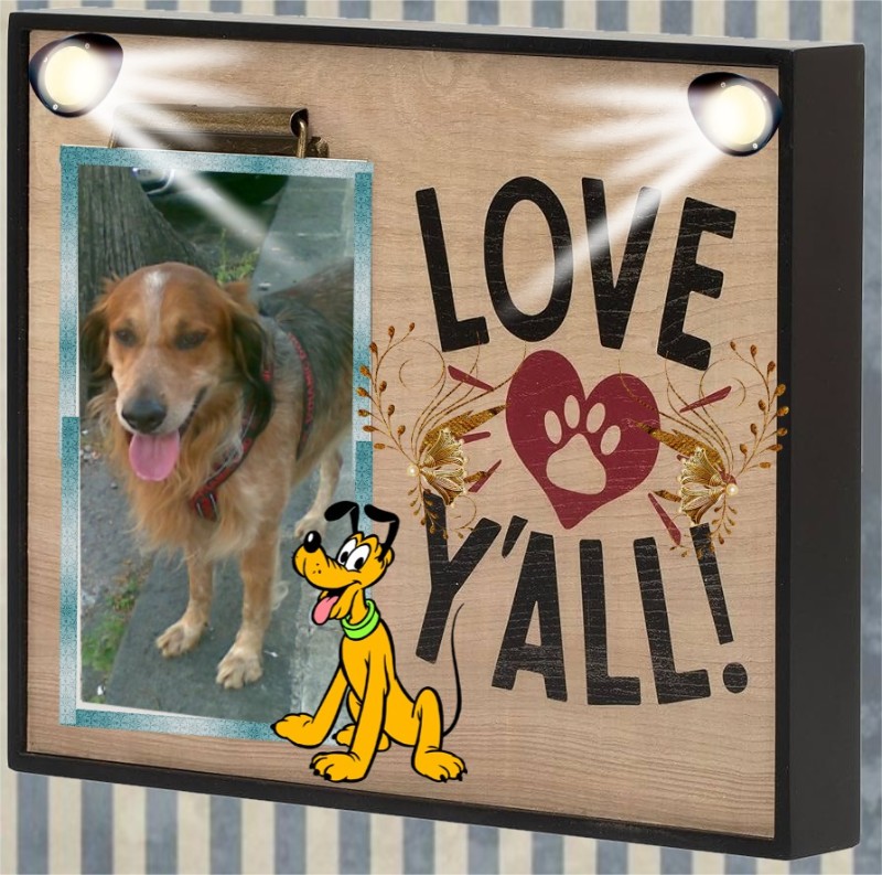 Asiya uploaded   79  day/s  ago