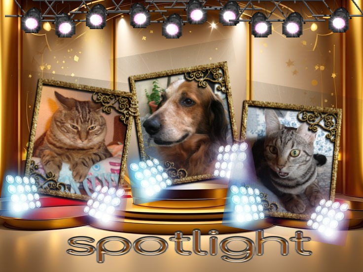 Asiya uploaded   79  day/s  ago