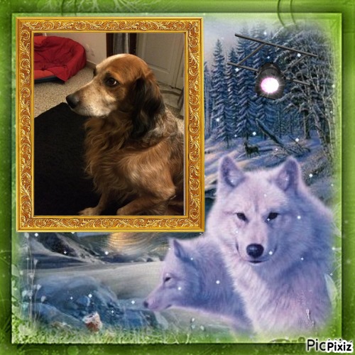 Asiya uploaded   82  day/s  ago