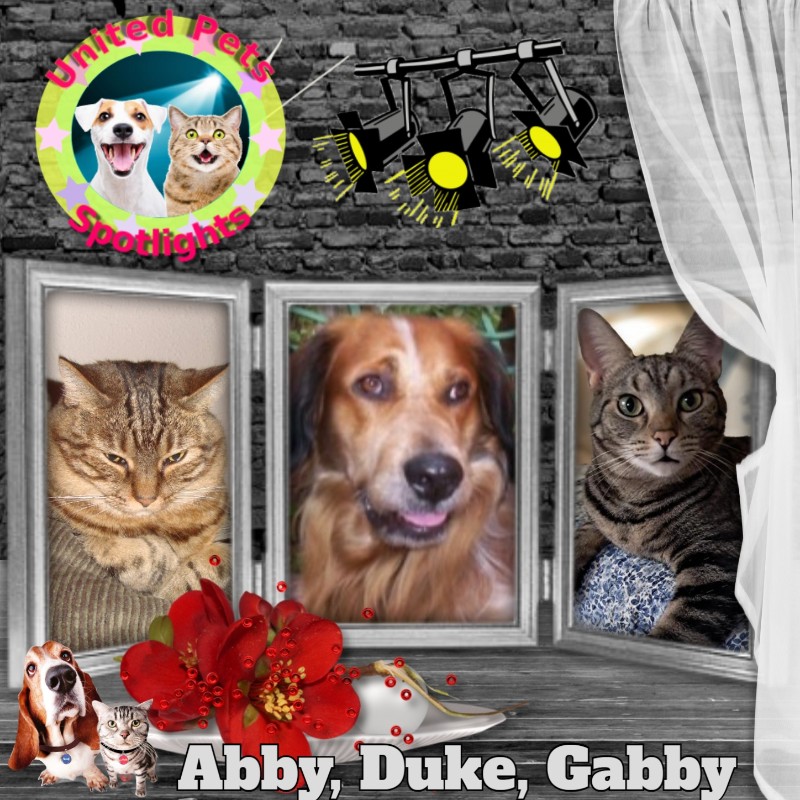 Asiya uploaded   84  day/s  ago