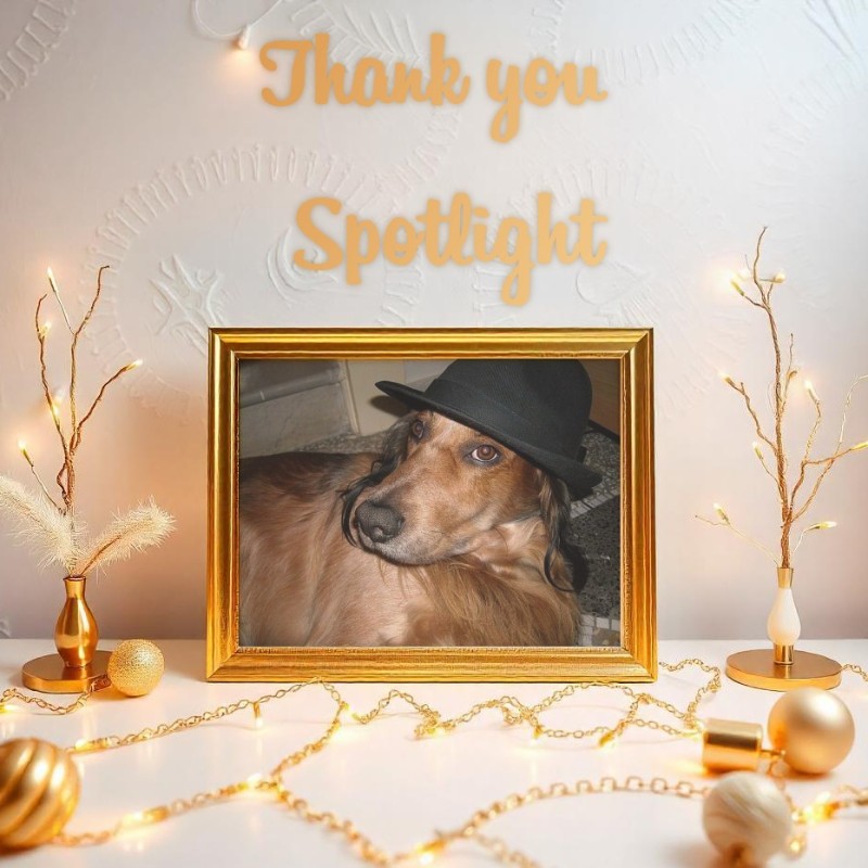 Asiya uploaded   81  day/s  ago