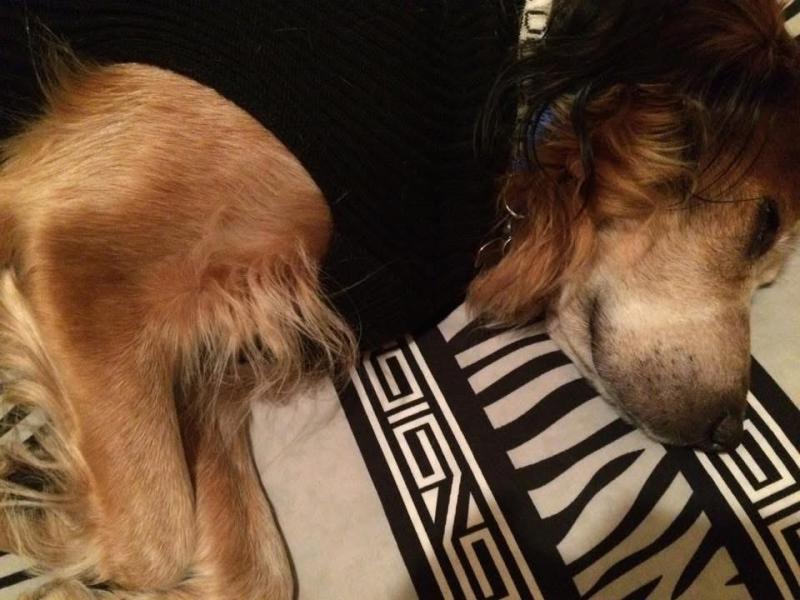 Asiya uploaded   70  day/s  ago