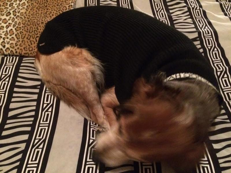 Duke King Of My Heart(Asiya)