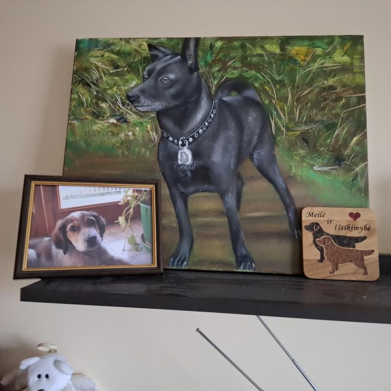 Asiya uploaded   136  day/s  ago