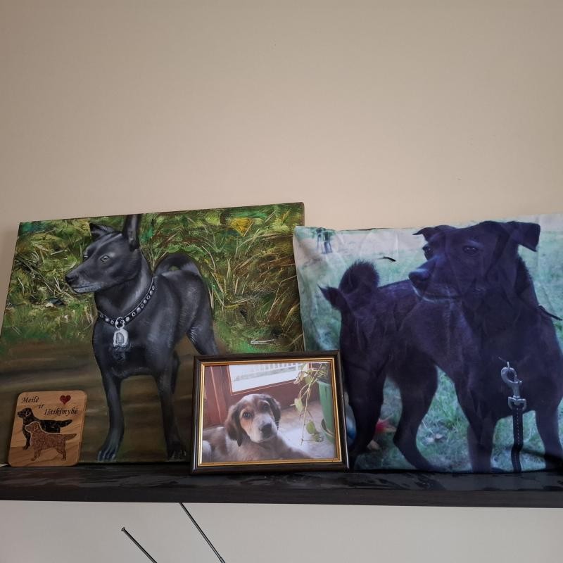 Asiya uploaded   136  day/s  ago