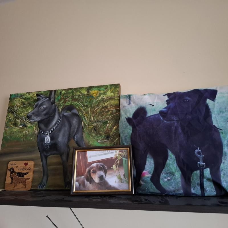 Asiya uploaded   136  day/s  ago