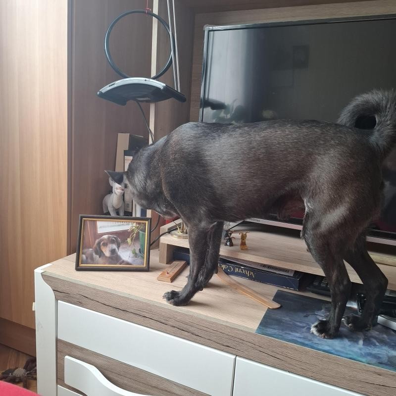 Asiya uploaded   1 year/s ago