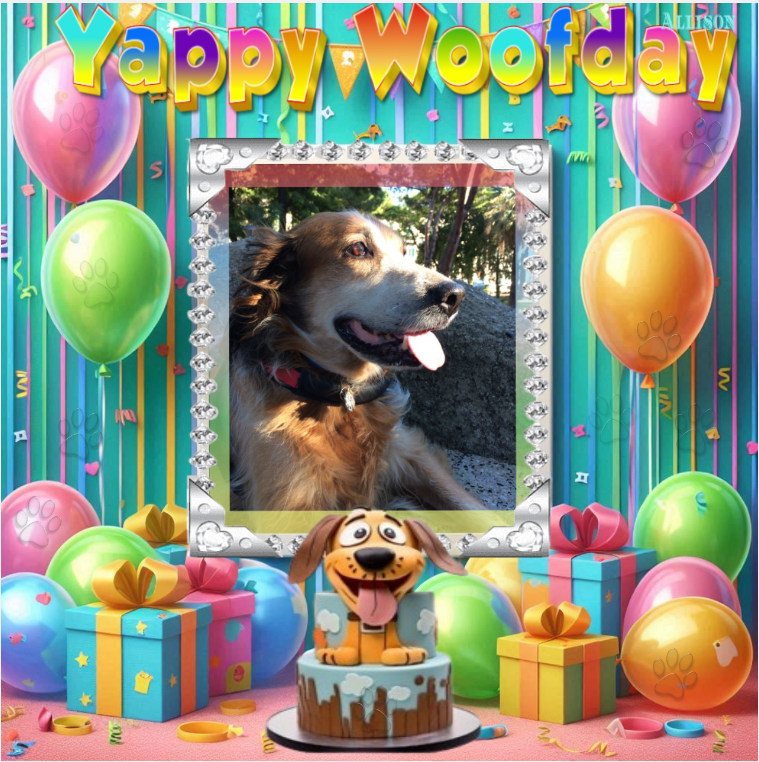 Asiya uploaded   49  day/s  ago