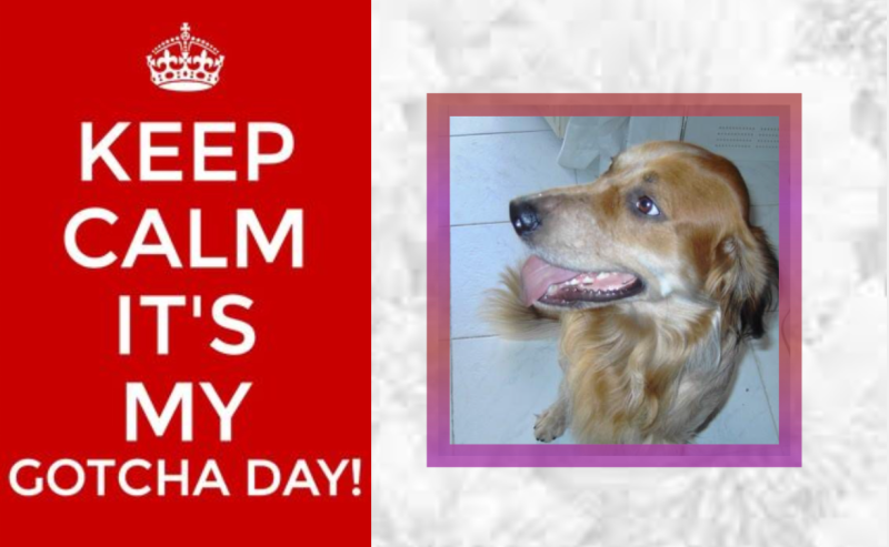 Asiya uploaded   49  day/s  ago