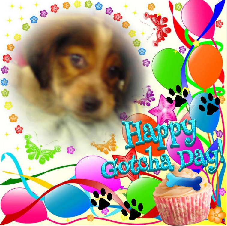 Asiya uploaded   48  day/s  ago