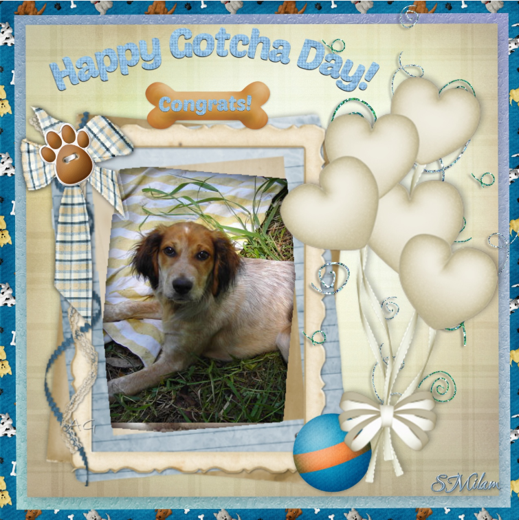 Asiya uploaded   48  day/s  ago