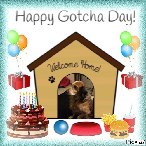 Asiya uploaded   48  day/s  ago