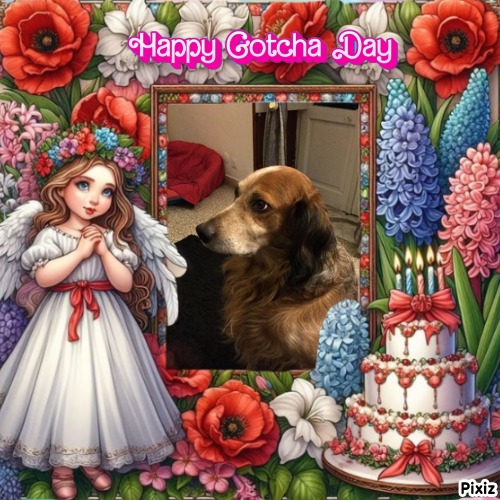 Asiya uploaded   48  day/s  ago