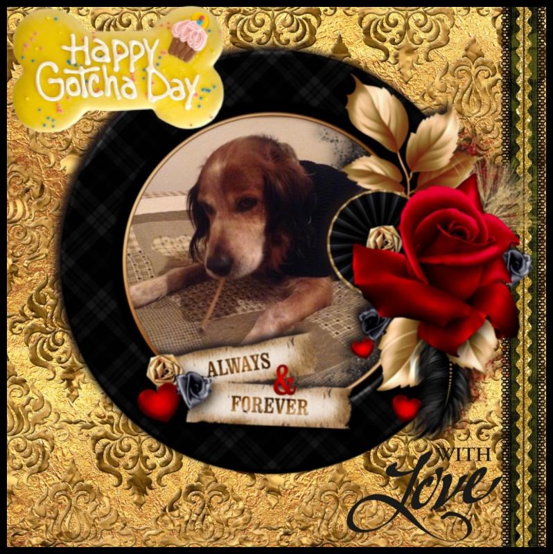 Asiya uploaded   48  day/s  ago