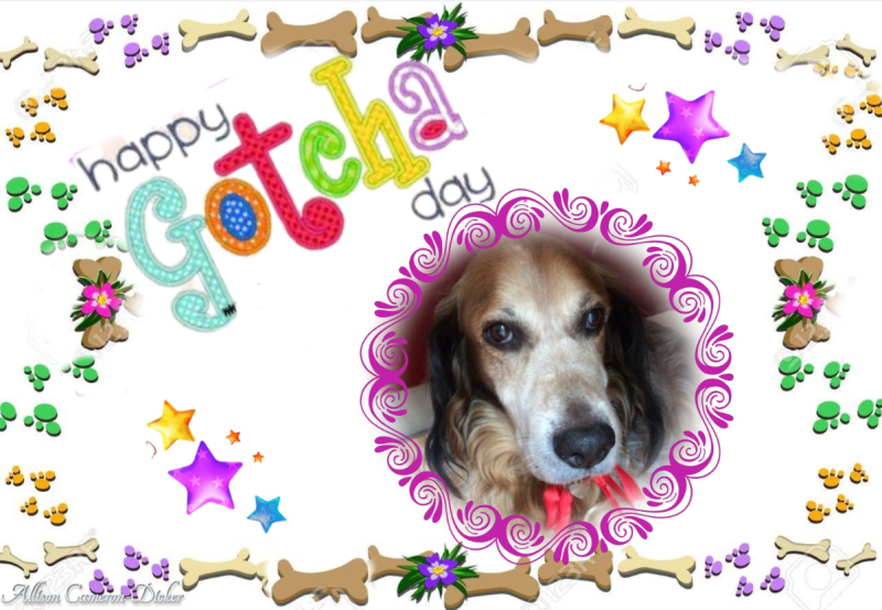 Asiya uploaded   45  day/s  ago