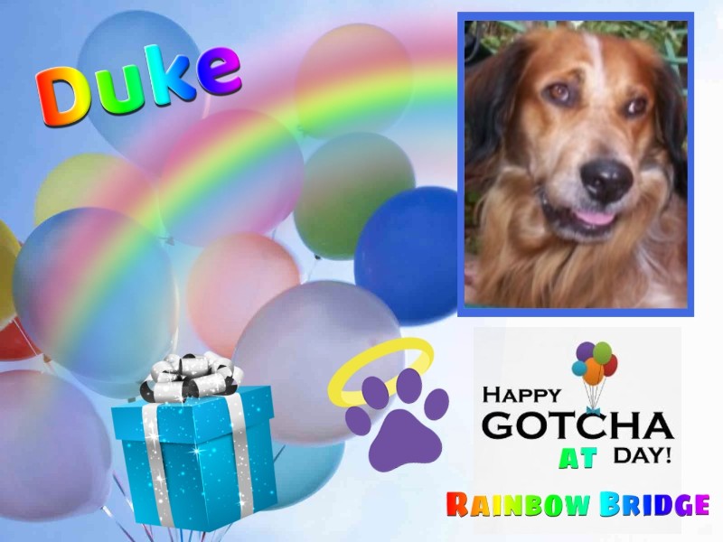 Asiya uploaded   50  day/s  ago