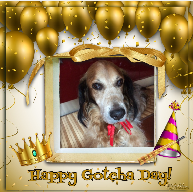 Asiya uploaded   49  day/s  ago