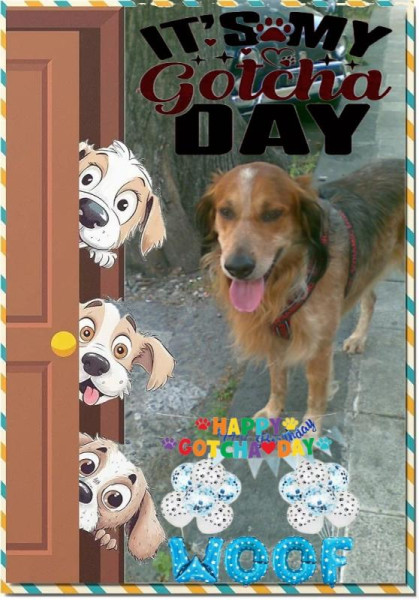 Asiya uploaded   49  day/s  ago