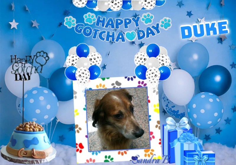 Asiya uploaded   50  day/s  ago