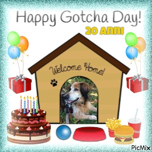 Asiya uploaded   50  day/s  ago