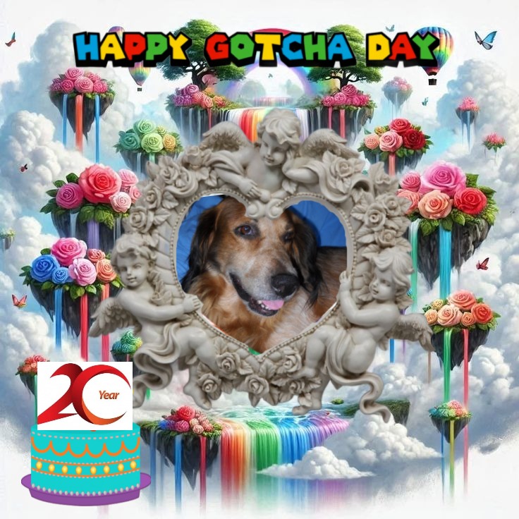 Asiya uploaded   47  day/s  ago