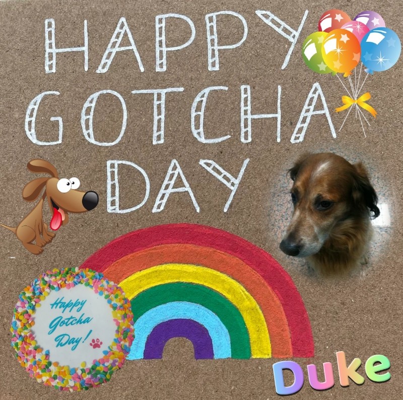 Asiya uploaded   45  day/s  ago