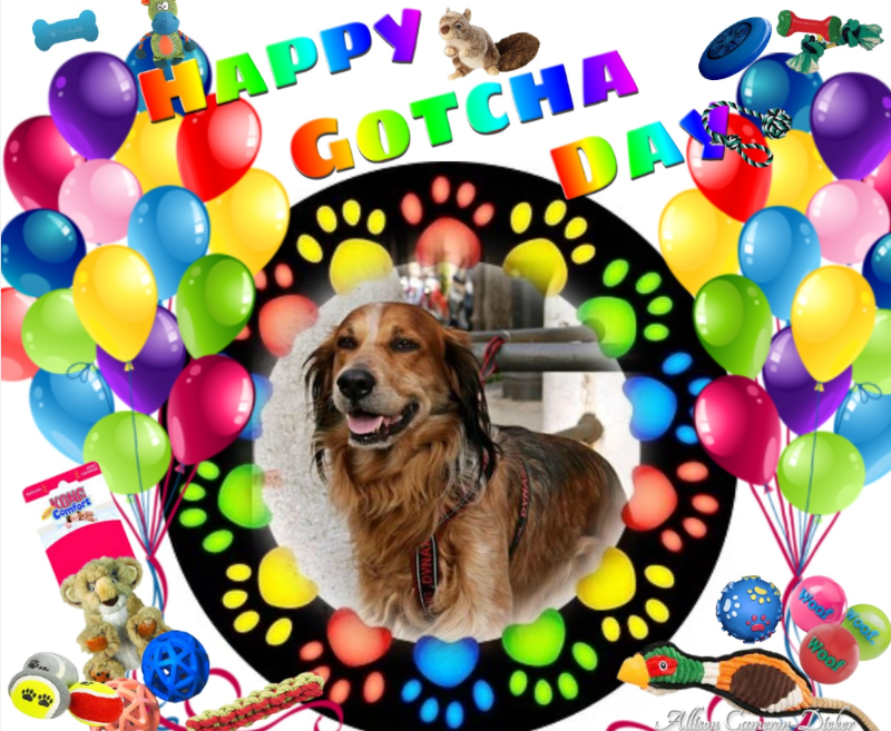 Asiya uploaded   45  day/s  ago