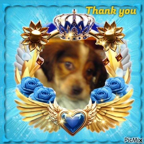 Asiya uploaded   42  day/s  ago