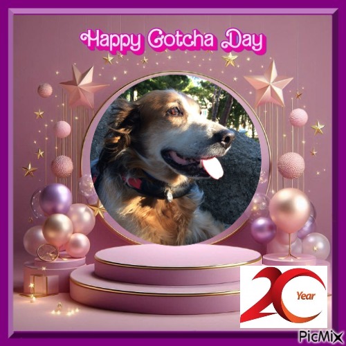 Asiya uploaded   50  day/s  ago