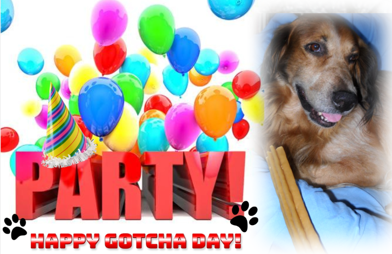 Asiya uploaded   48  day/s  ago