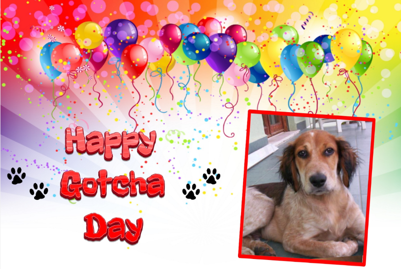 Asiya uploaded   48  day/s  ago