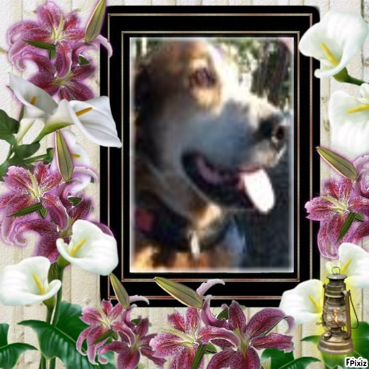 Asiya uploaded   47  day/s  ago