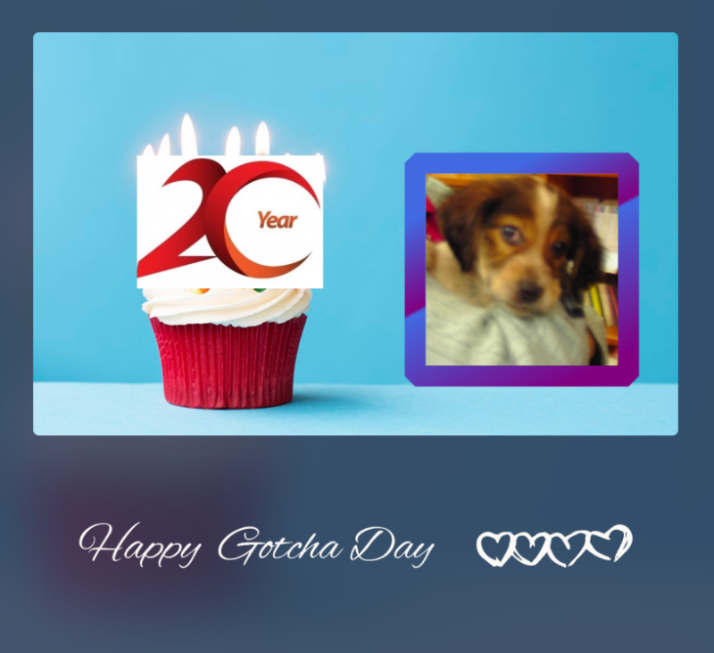 Asiya uploaded   48  day/s  ago