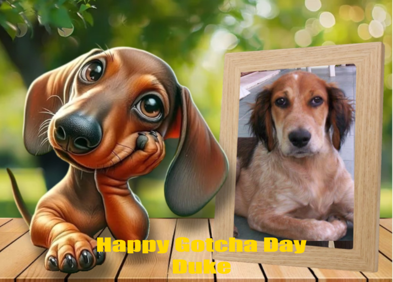 Asiya uploaded   47  day/s  ago