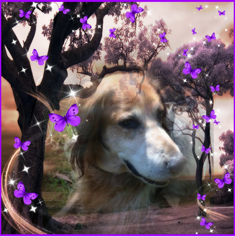 Asiya uploaded   53  day/s  ago