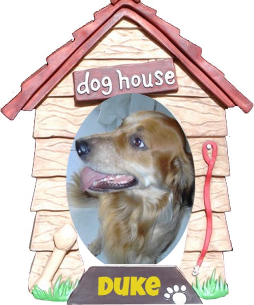 Asiya uploaded   1  day/s  ago