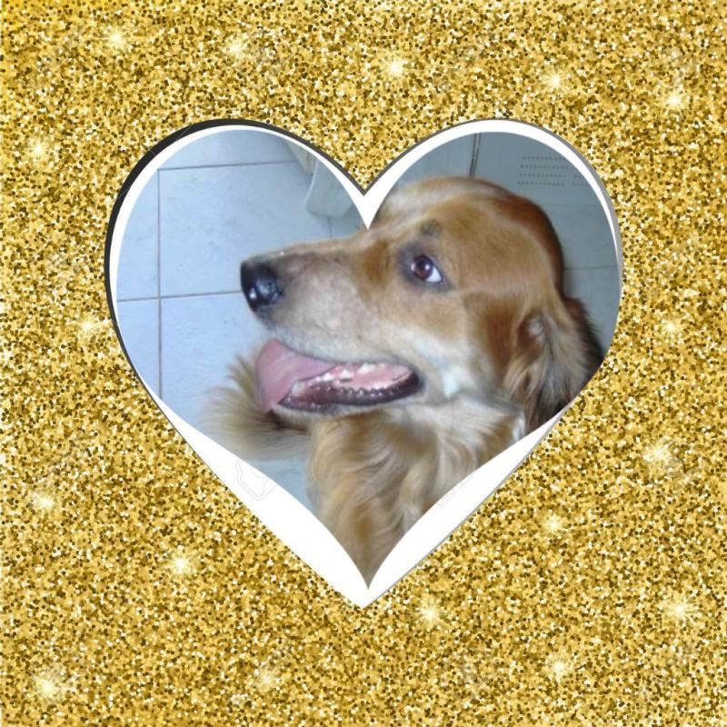 Duke King Of My Heart of the Asiya family