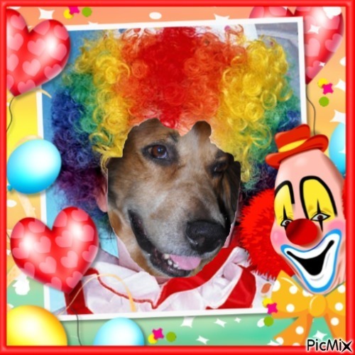 Duke King Of My Heart of the Asiya family