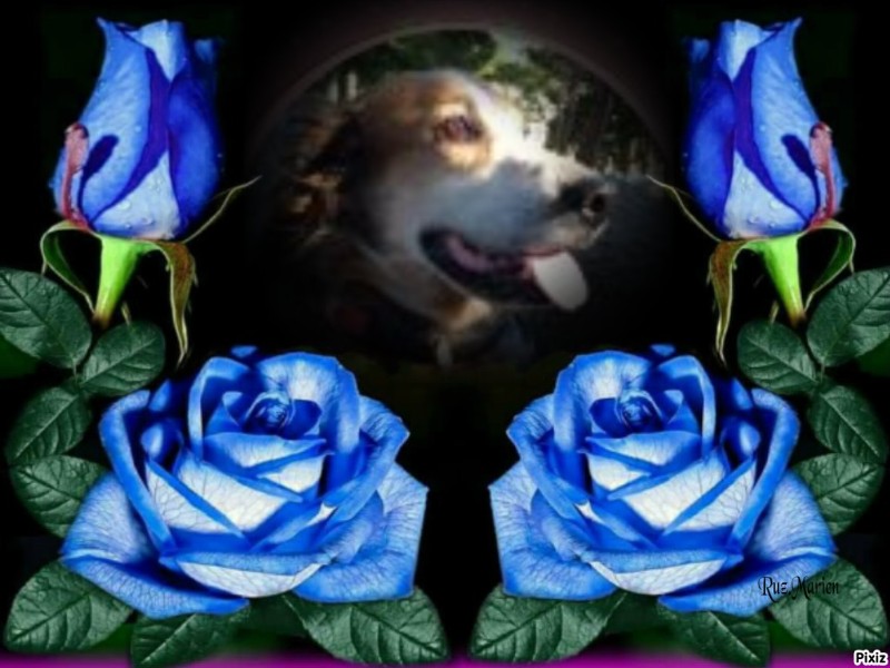 Asiya uploaded   45  day/s  ago