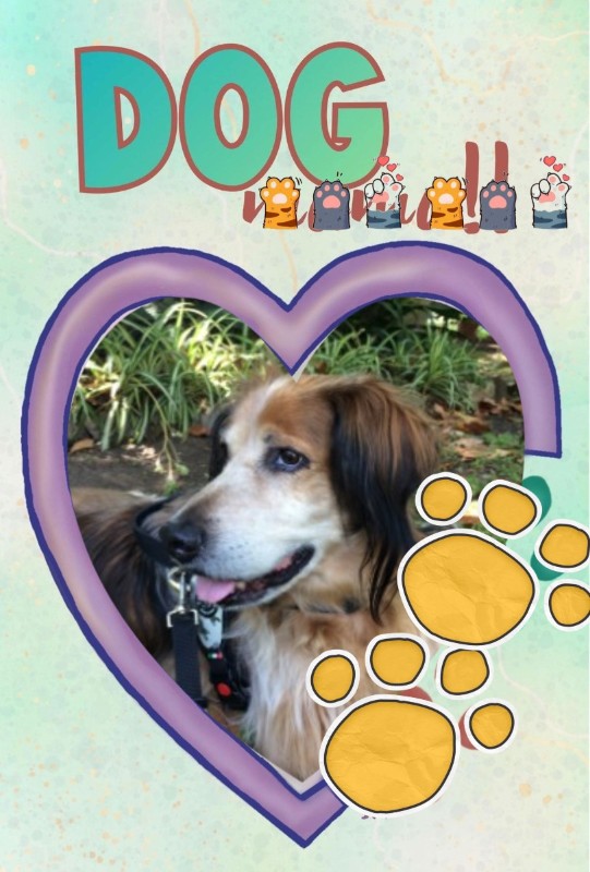 Asiya uploaded   47  day/s  ago