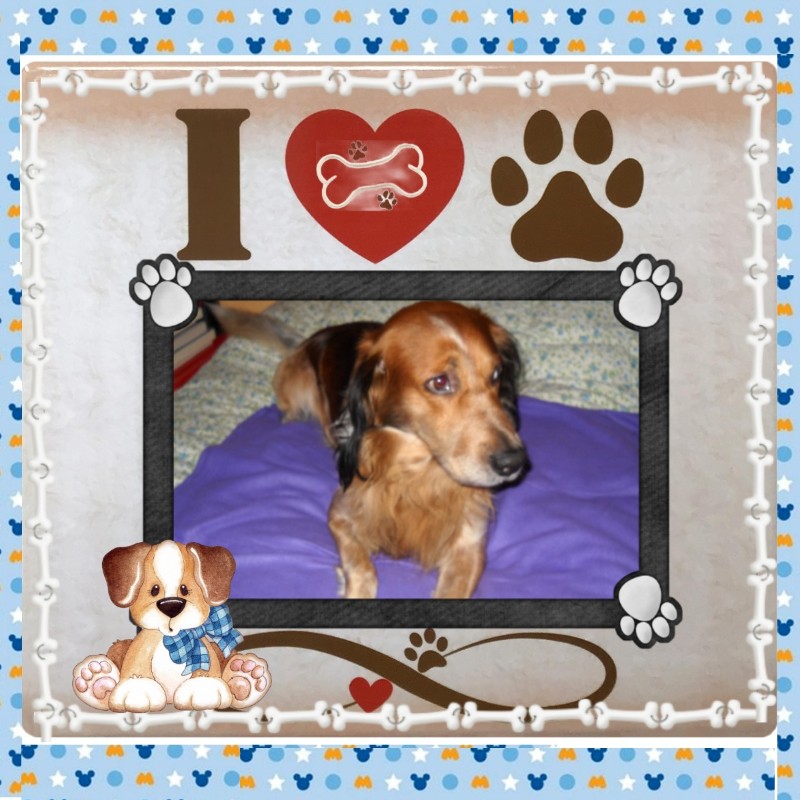 Asiya uploaded   47  day/s  ago