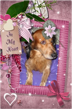 Asiya uploaded   75  day/s  ago