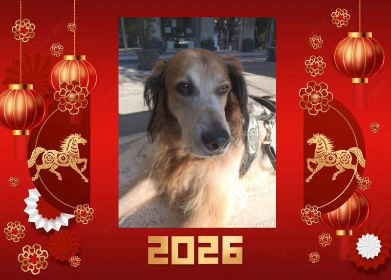 Asiya uploaded   83  day/s  ago