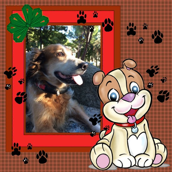 Asiya uploaded   55  day/s  ago