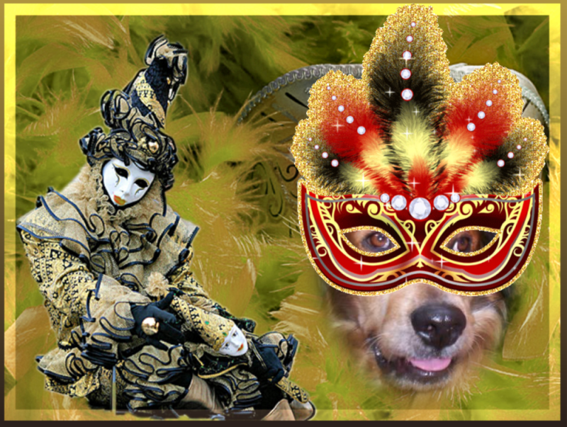 Asiya uploaded   87  day/s  ago