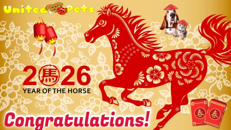 Asiya uploaded   79  day/s  ago