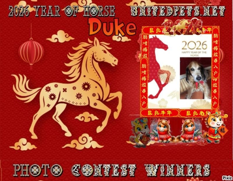 Asiya uploaded   78  day/s  ago