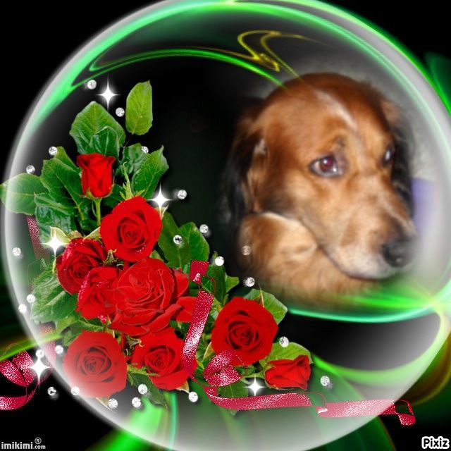 Asiya uploaded   66  day/s  ago