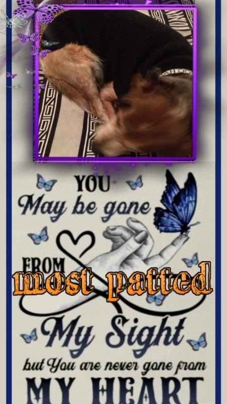 Duke King Of My Heart of the Asiya family