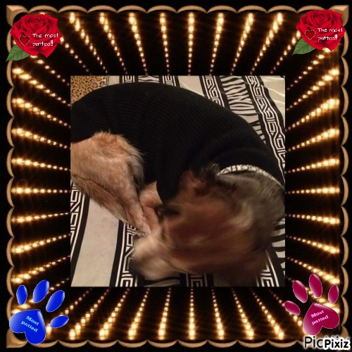 Asiya uploaded   69  day/s  ago